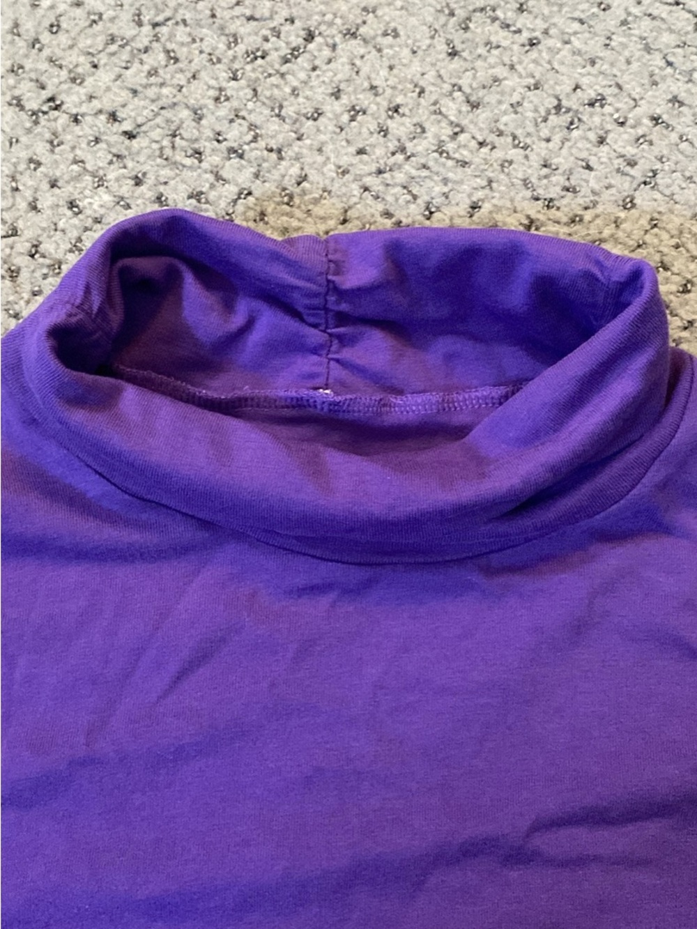 Purple and Green Turtlenecks Women's Top - Classic Layering Tee